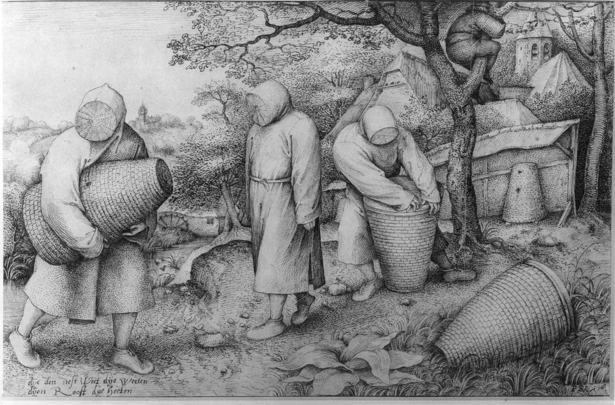 Včelaři, „Když víš, kde je poklad, můžeš ho uloupit“, c.1567-68 od Pieter Bruegel the Elder