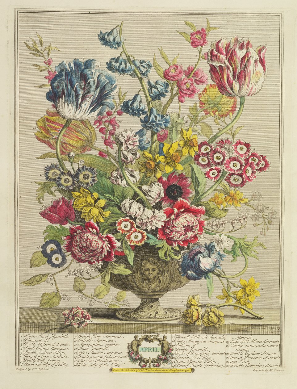 Duben, z „Dvanáct měsíců květů“, od Roberta Furbera (asi 1674-1756), vyryto Henrym Fletcherem (fl.c. 1729), vydáno 1730 (barevná akvatinta) (viz také 125934) od Pieter Casteels