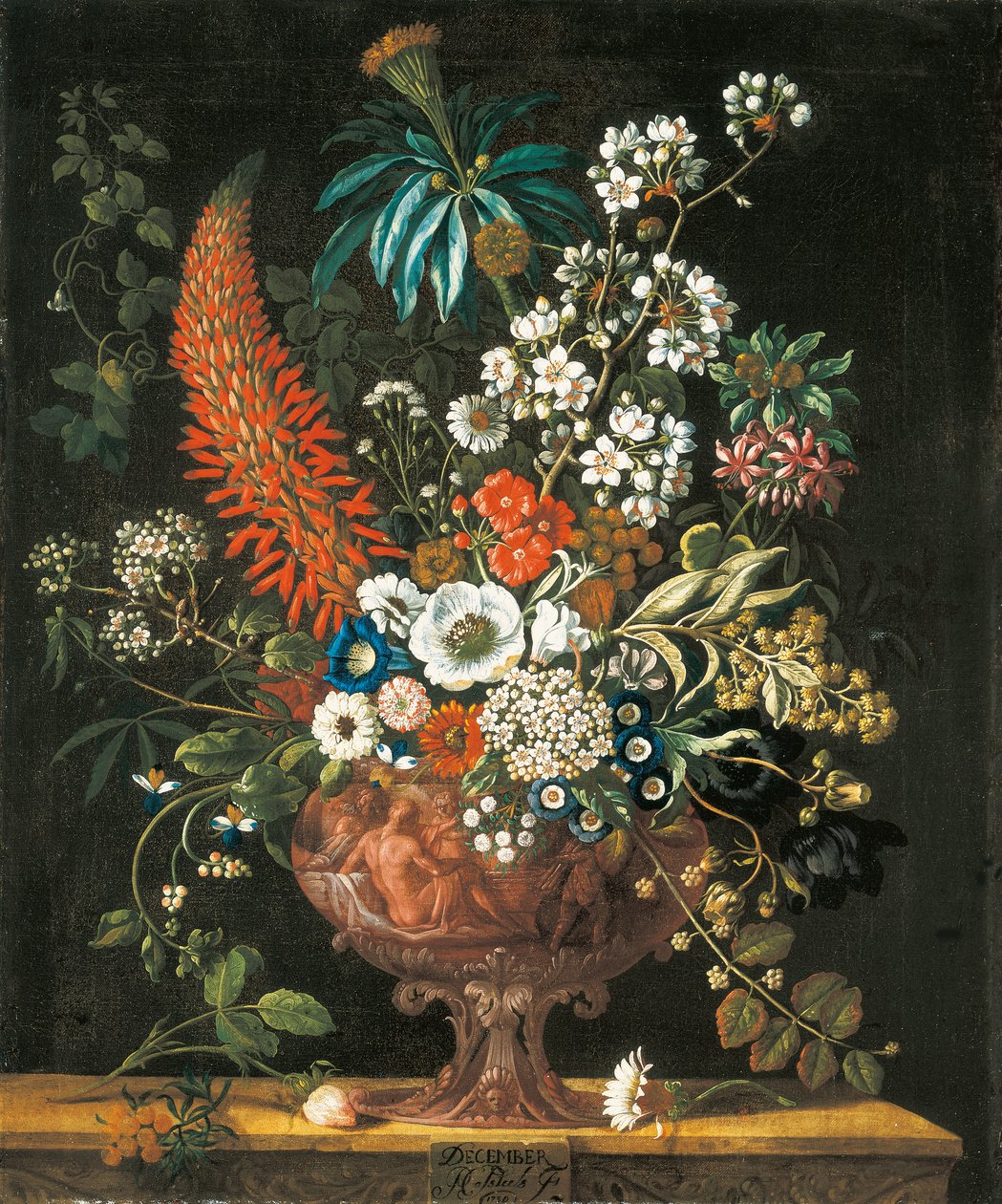 prosince, z Dvanáct měsíců květin, květinový kalendář zátiší, 1730 od Pieter Casteels