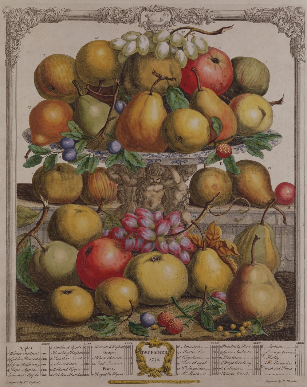 prosince, z „Dvanáct měsíců ovoce“, od Roberta Furbera (asi 1674-1756), vyryto Henrym Fletcherem, 1732 (barevná rytina) od Pieter Casteels