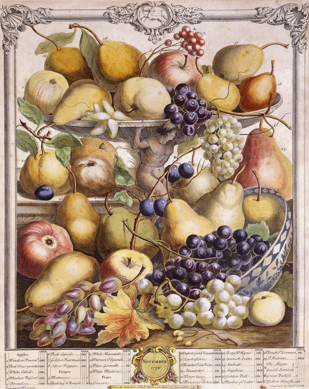 Listopad 1732, ukazující sezónní jablka, hrušky, hrozny atd., 1732 od Pieter Casteels