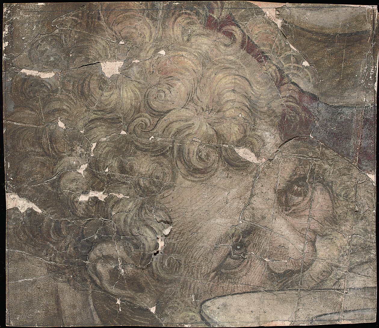 Hlava vousatého muže, který se dívá nahoru od Pieter Coecke van Aelst