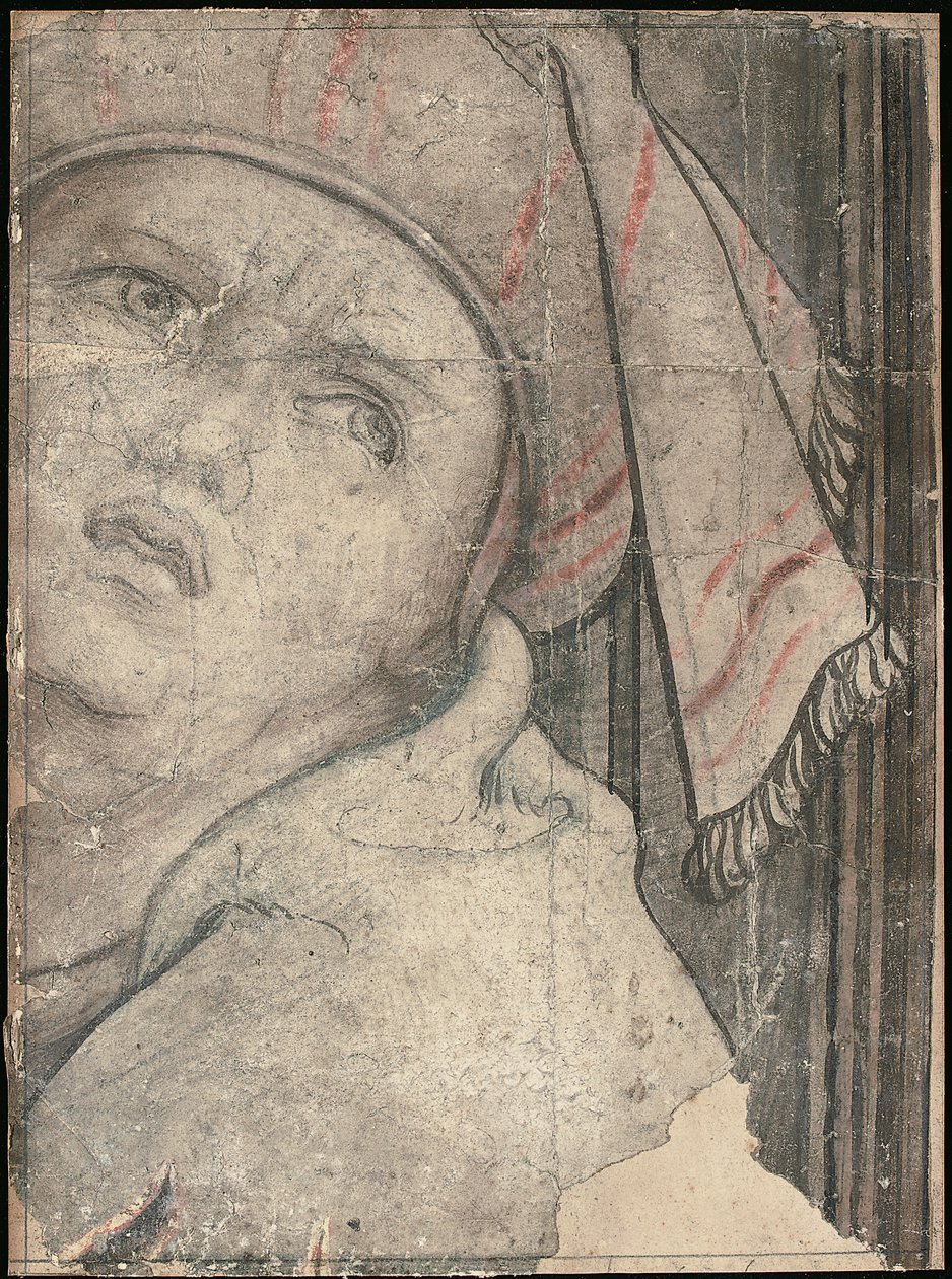 Hlava muže v turbanu při pohledu nahoru od Pieter Coecke van Aelst