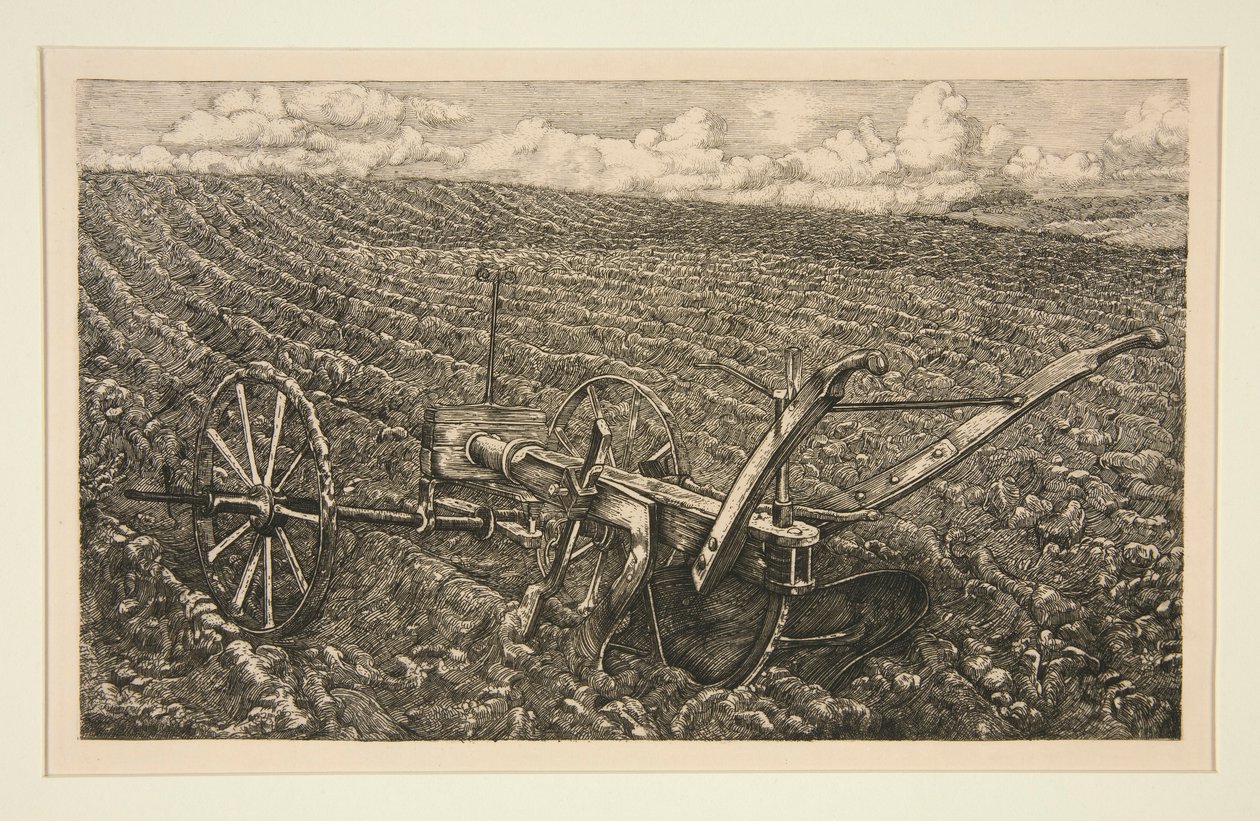Pluh od Pieter Dupont