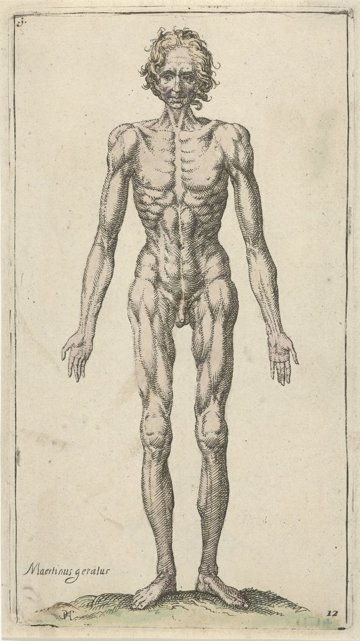 Studie nahého muže Anatomické studie (název série) od Pieter Feddes van Harlingen