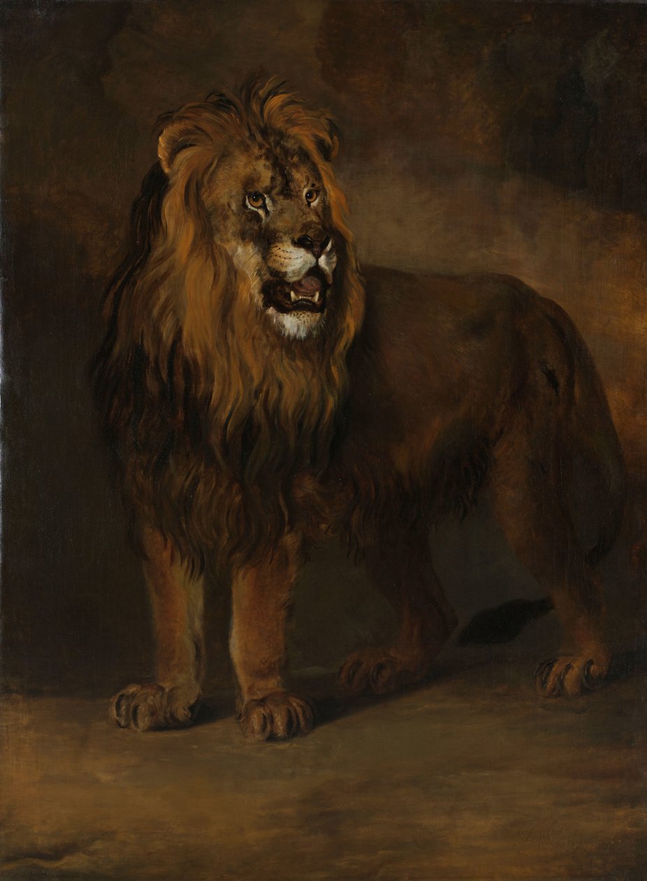 Lev ze zvěřince krále Ludvíka Napoleona, 1808 od Pieter Gerardus van Os