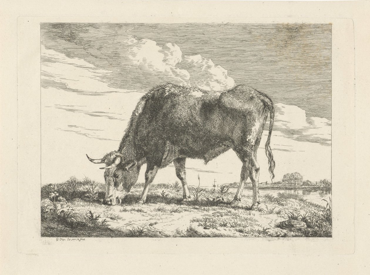 pasoucí se kráva od Pieter Gerardus van Os
