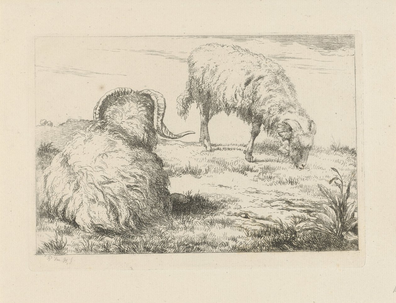 Dva berani na louce Ovce a kozy (název série) od Pieter Gerardus van Os