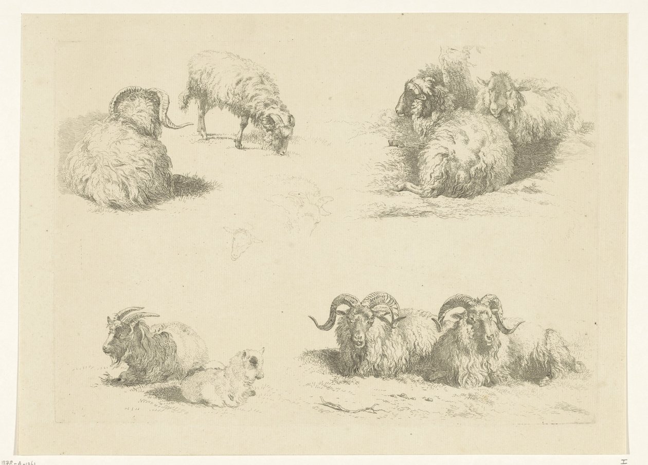 Čtyři představení s ovcemi a kozami Ovce a kozy (název série) od Pieter Gerardus van Os