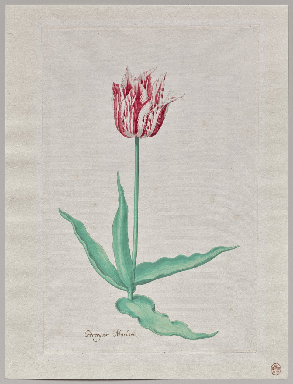 Study of a Tulip (Perregoen Machieu)   1312887   cs       czech Successfully Translated  Original: La provocation Translat: La provocation 1228903 cs czech Successfully Translated Original: Tororojiru Shop at Mariko from the series 53 Stations of Tokaido T od Pieter Holsteyn II