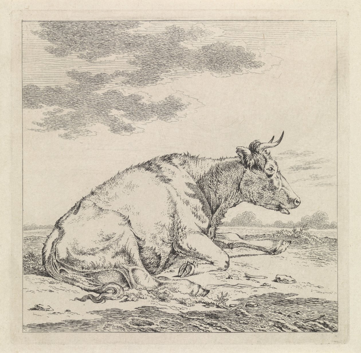 Ležící kráva, vpravo od Pieter Janson