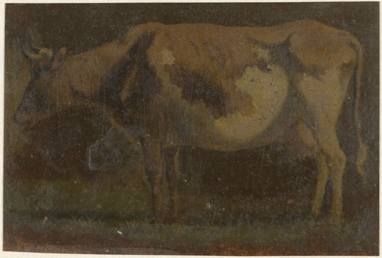 Stojící kráva, vlevo od Pieter Janson