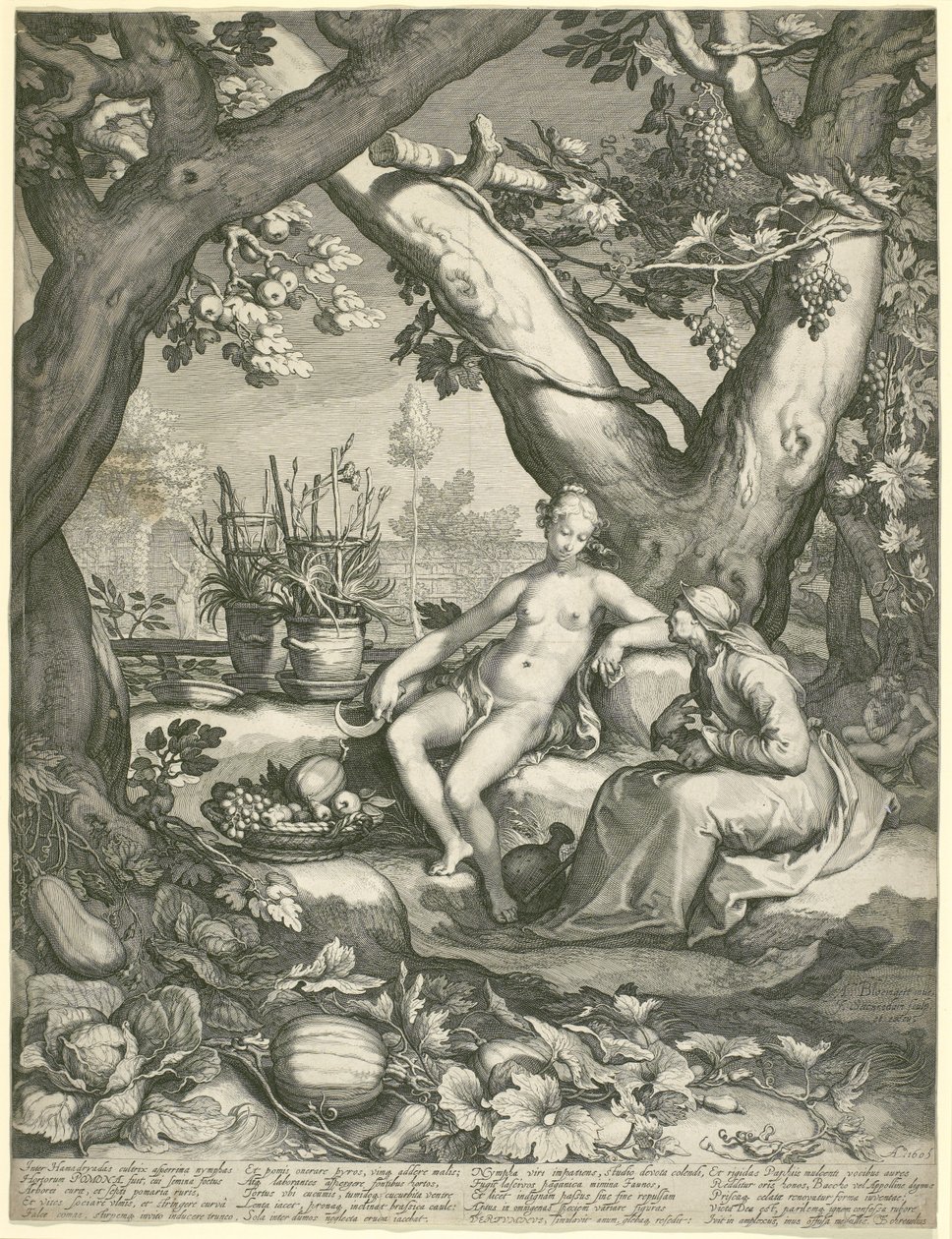 Vertumnus si vypůjčuje postavu staré ženy, aby získal lásku Pomony, 1605 (rytina na křídovém papíře) od Pieter Janszoon Saenredam