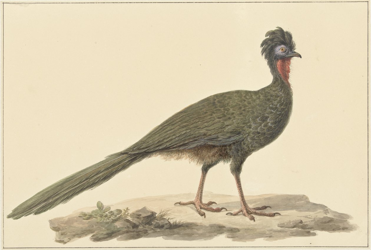 Penelope, na zemi od Pieter Pietersz. Barbiers