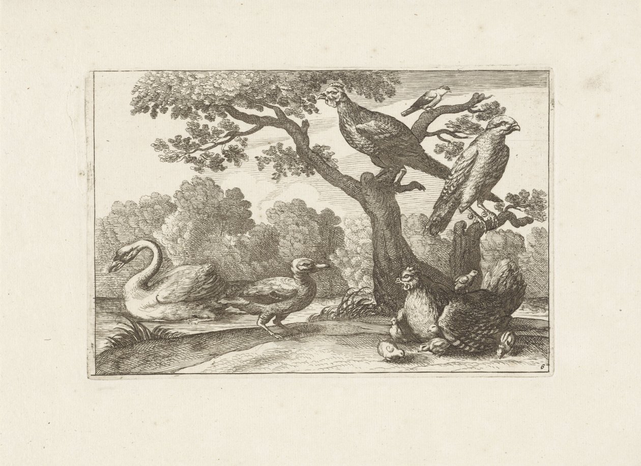 Kip se setkal s kuikens en andere vogels Různí ptáci (název série) Nejdokonalejší figurky různých ptáků (...) (název série) od Pieter Schenk (I) (attributed to)