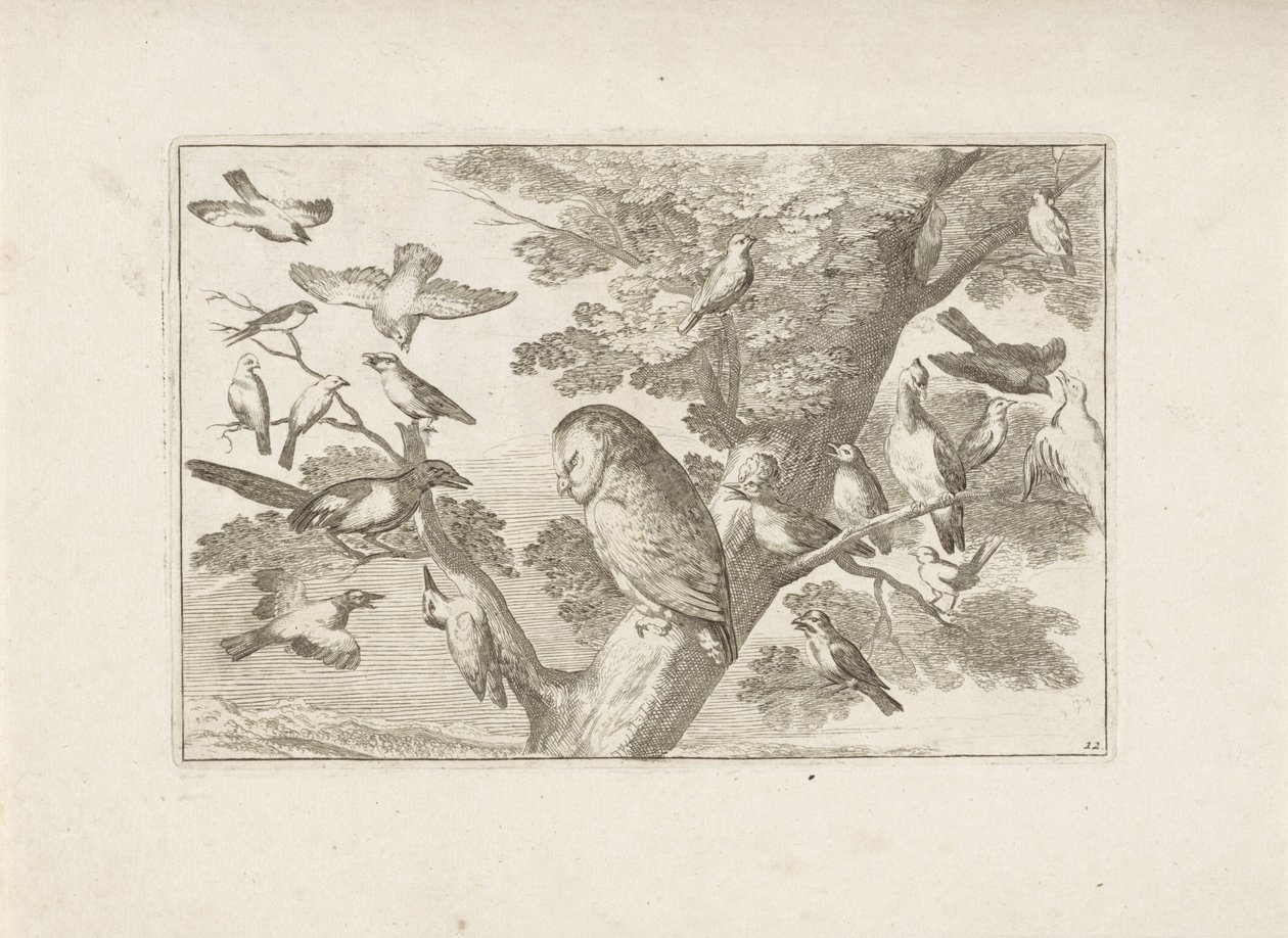 Uil en andere vogels in boom Různí ptáci (název série) Nejdokonalejší figurky různých ptáků (...) (název série) od Pieter Schenk (I) (attributed to)