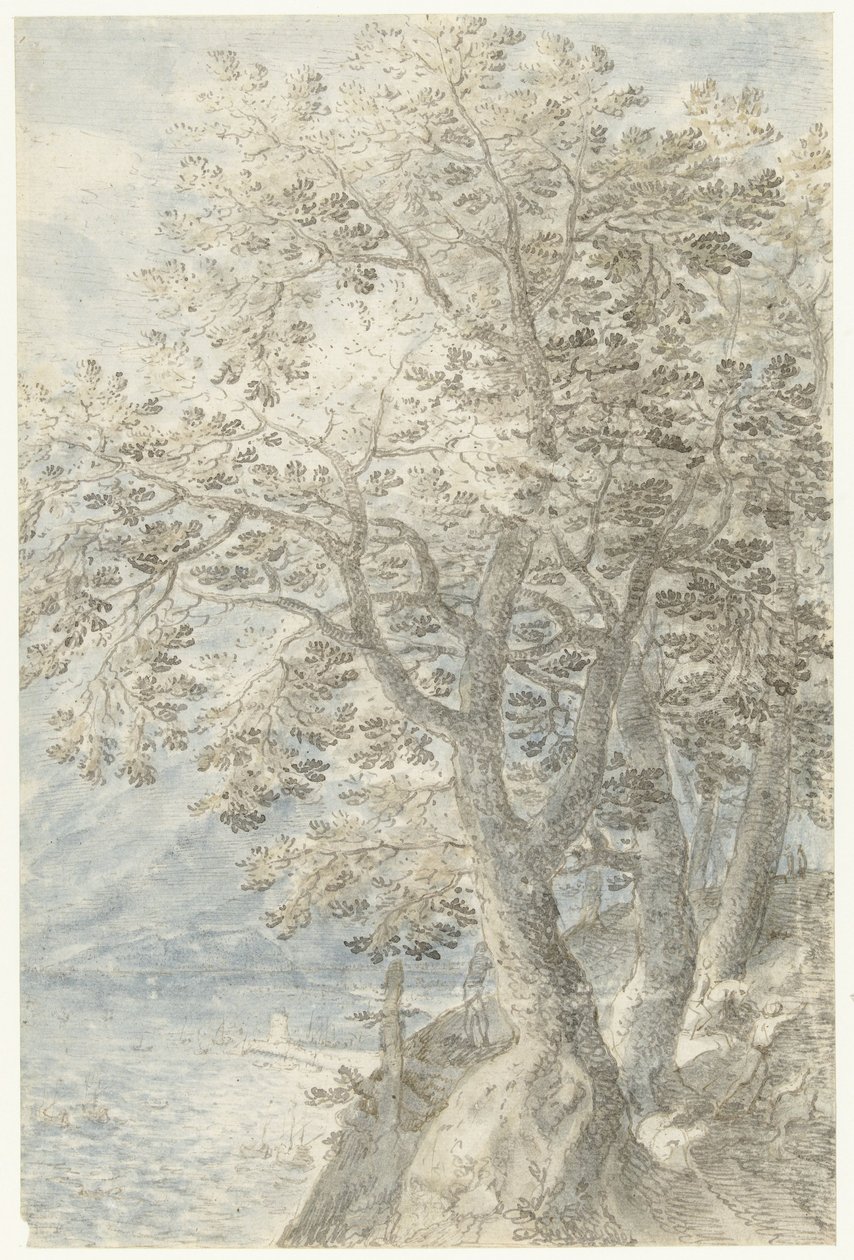 Stromy u strmé skalní stěny od Pieter Stevens (I)
