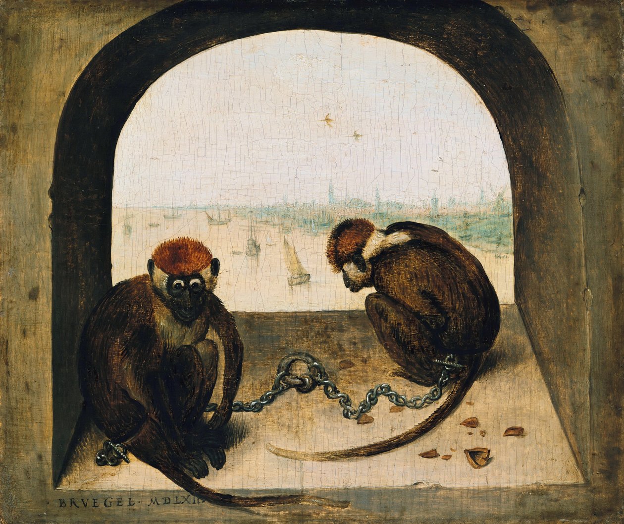 Dvě spoutané opice od Pieter Bruegel the Elder