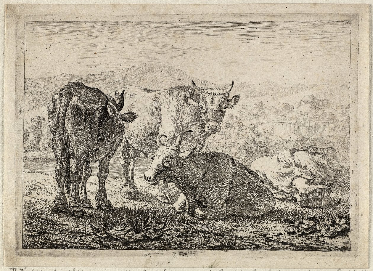 Německy: Drei Rinder und ein schlafender Hirte
francouzsky: Les boeufs
Tři kusy dobytka a spící pastýř od Pieter van Laer