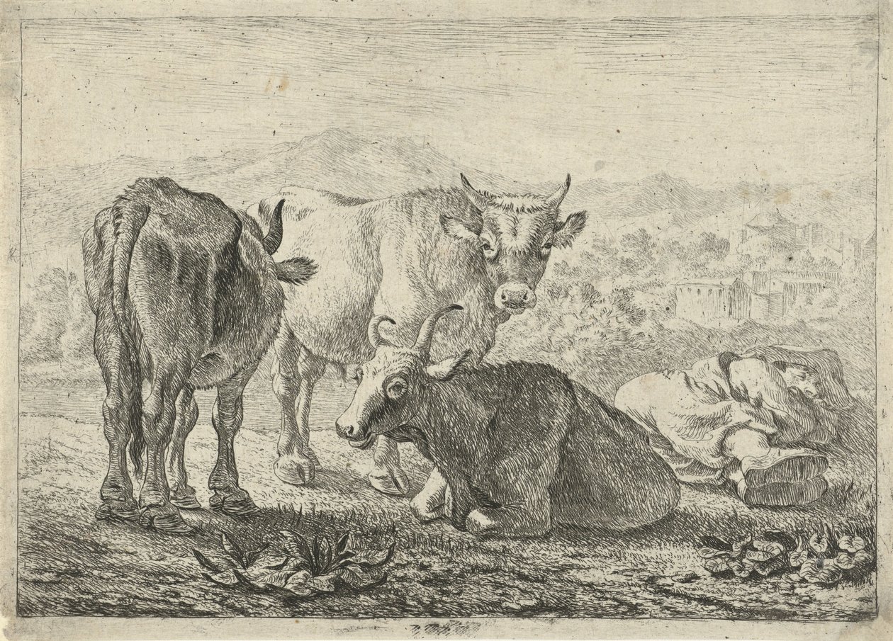 Německy: Drei Rinder und ein schlafender Hirte
francouzsky: Les boeufs
Tři kusy dobytka a spící pastýř od Pieter van Laer