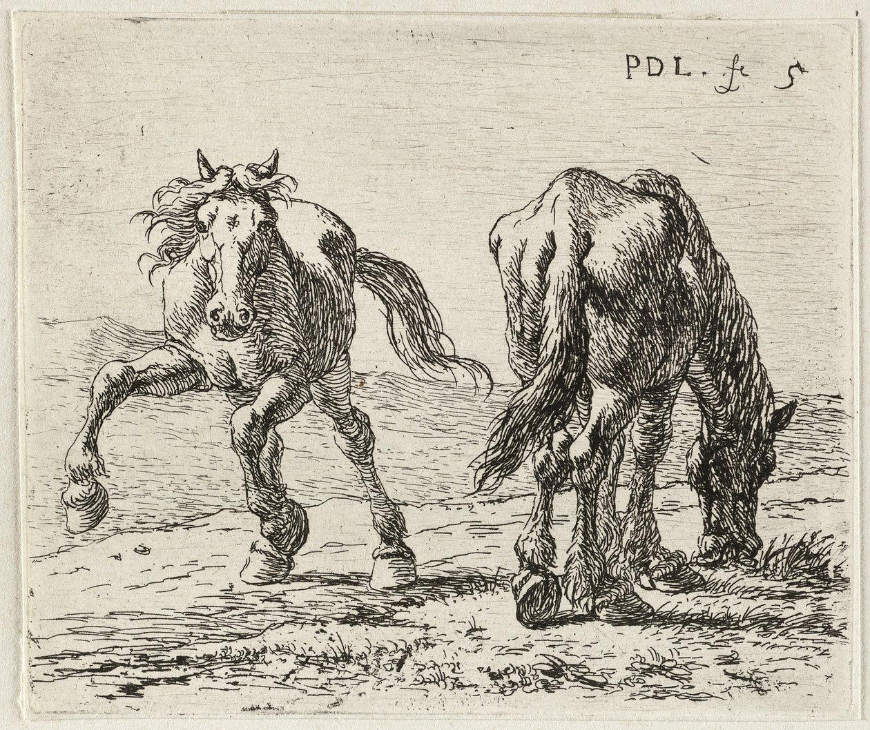 Německy: Zwei Pferde auf einer Weide
francouzsky: Les deux chevaux au pâturage
Dva koně na louce od Pieter van Laer