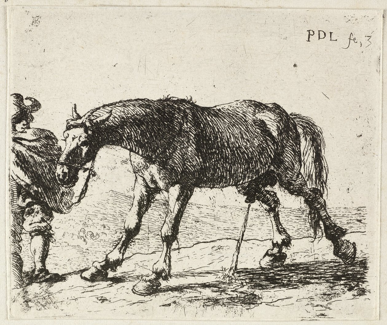 Čůrající kůň od Pieter van Laer