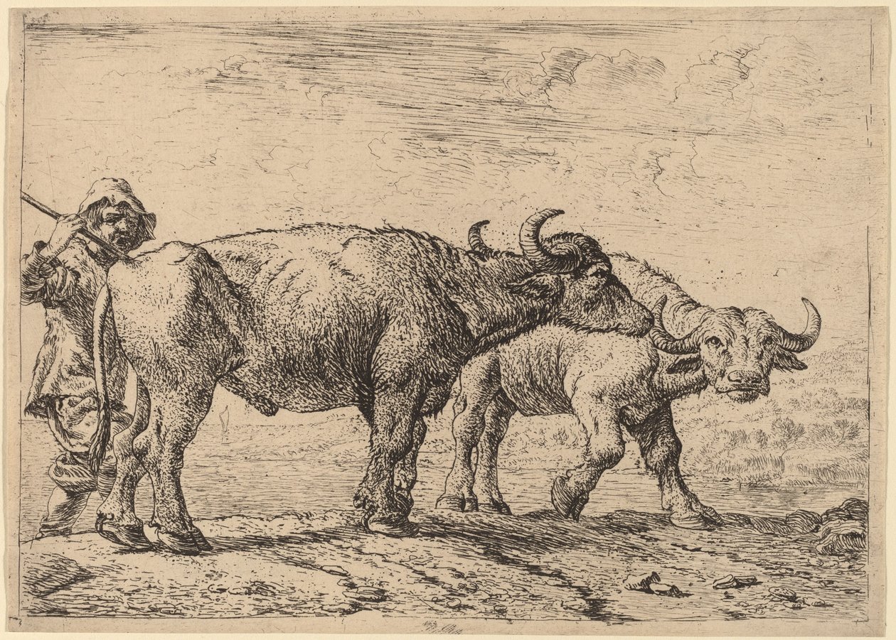Dva buvoli a pastevec od Pieter van Laer