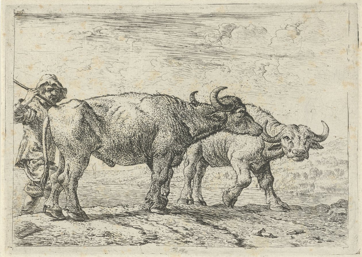 Dva bizoni a pastevec od Pieter van Laer