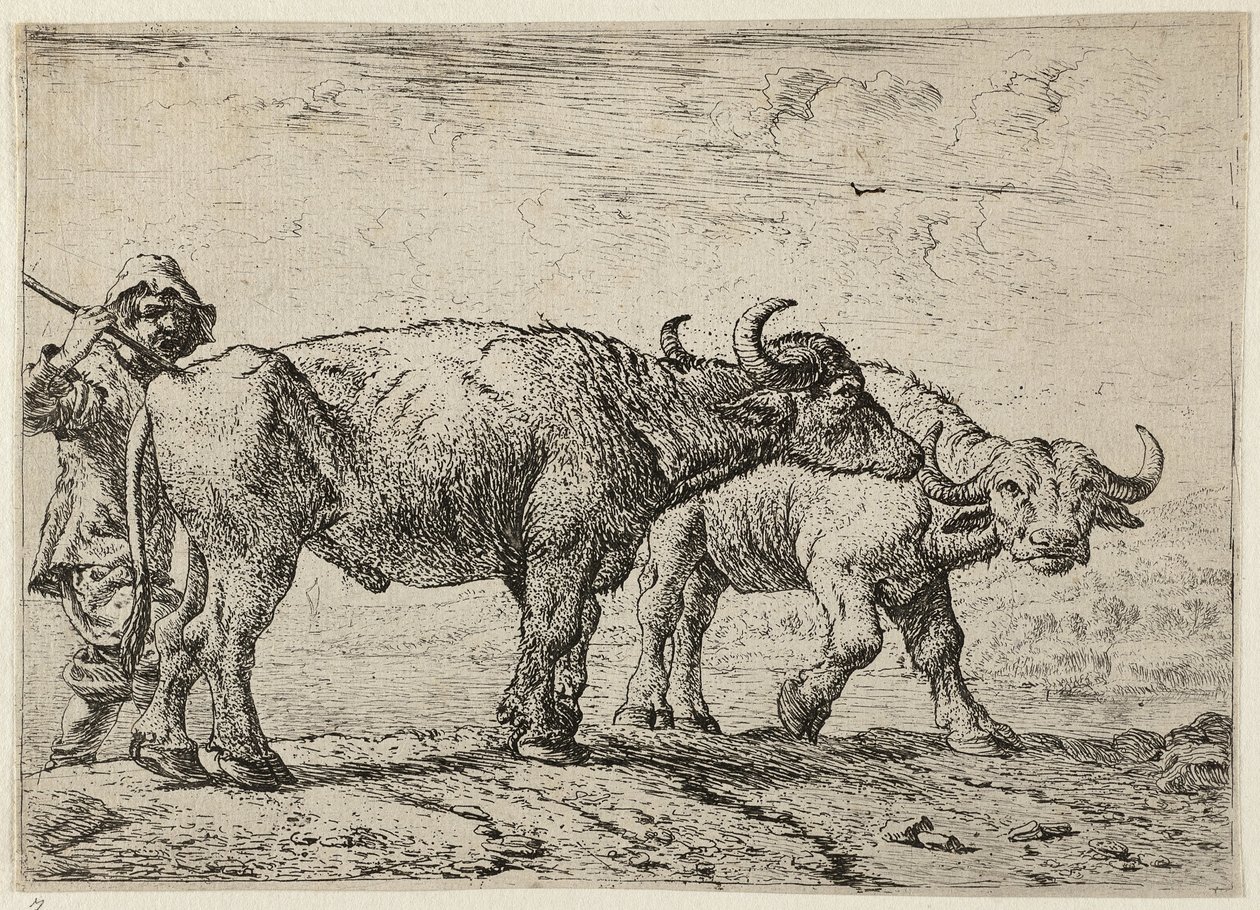 Dva bizoni a pastevec od Pieter van Laer