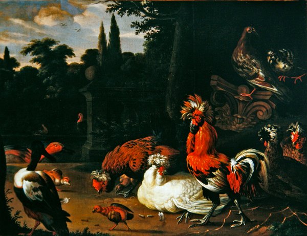 Kohout, kuřata, kuřata a kachny v zahradním prostředí (olej na plátně) od Pieter van Mase
