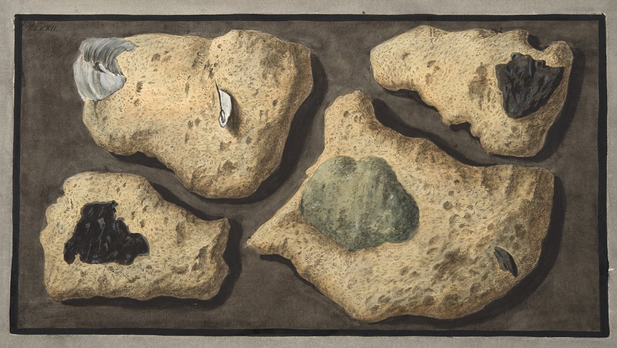 Vzorky Tufas z lomů poblíž Grotta of Pausilipo, deska XXXXII, z "Campi Phlegraei: Sir William Hamilton (1730-1803), Observations on Volcanoes of the Two Sicilies" (Pozorování sopek na obou Sicíliích). od Pietro Fabris