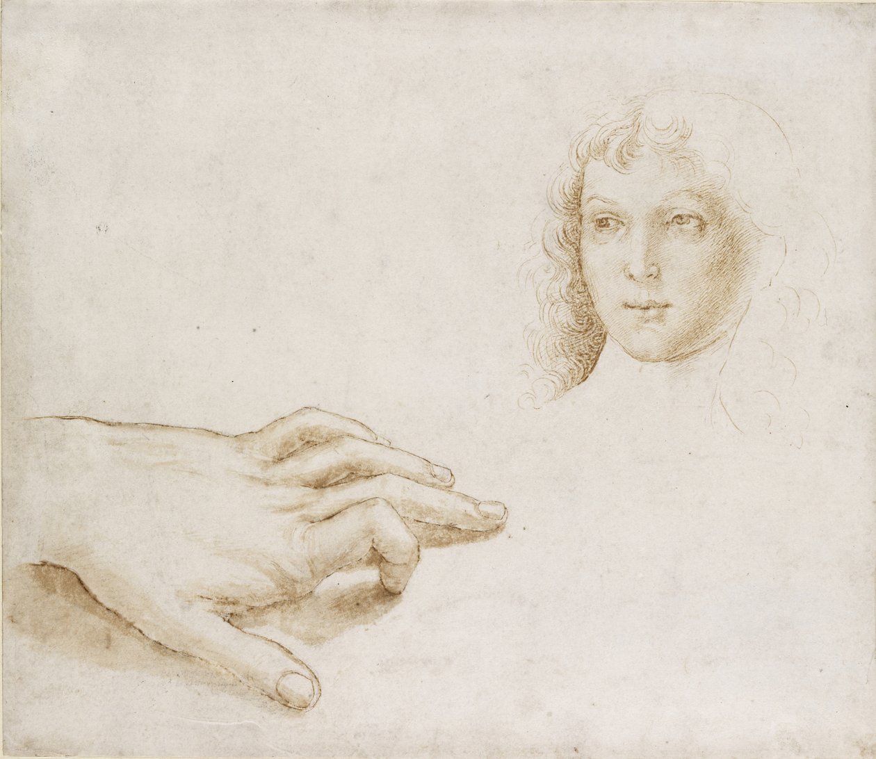 Studie hlavy a ruky, WA1846.8 od Pietro Perugino