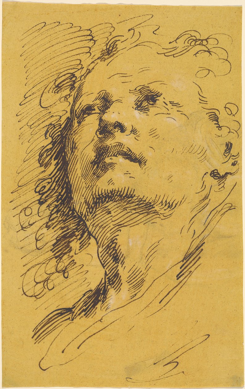 Hlava muže vzhlédl od Pietro Antonio Novelli