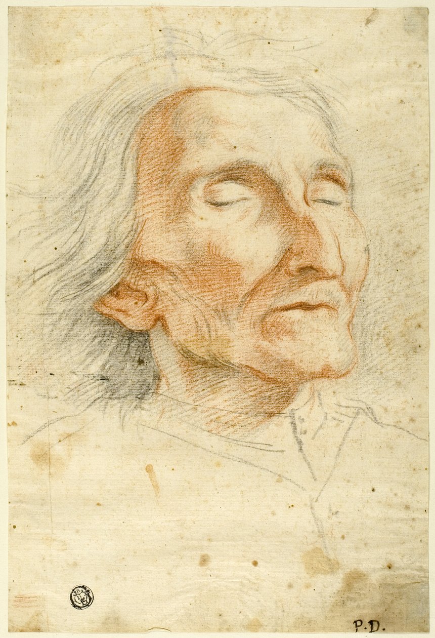 Tvář starého muže se zavřenýma očima od Pietro Dandini