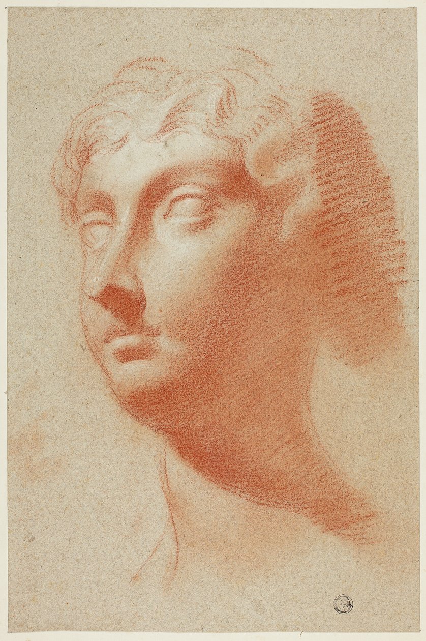 Žena hlava od Pietro Dandini