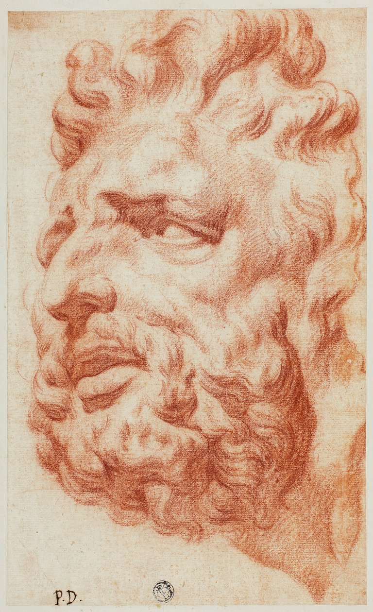 Hlava Laocoonu od Pietro Dandini