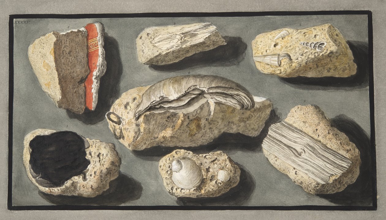 Vzorky tufy nalezené v Herculaneu a jeho okolí, deska XXXXV, z „Campi Phlegraei: Observations on the Volcanoes of the Two Sicilies“, od Sira Williama Hamiltona (1730-1803), publikované v roce 1776 (sl. od Pietro Fabris