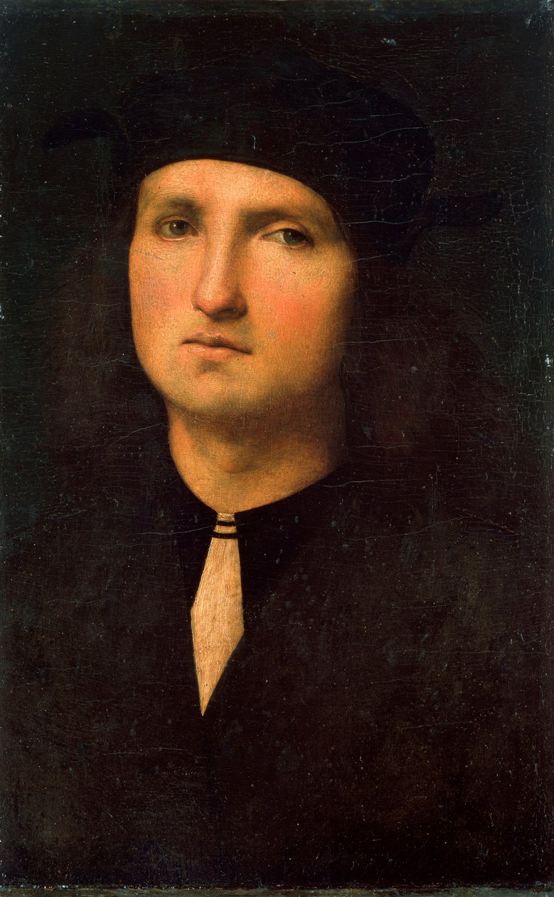 Portrét mladého muže, mezi 1495 a 1500. od Pietro Perugino