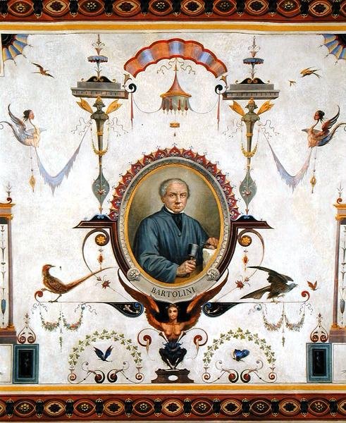 Portrét Lorenza Bartoliniho (1777-1850), detail ze stropu Sala del Sindaco od Pietro Pezzati