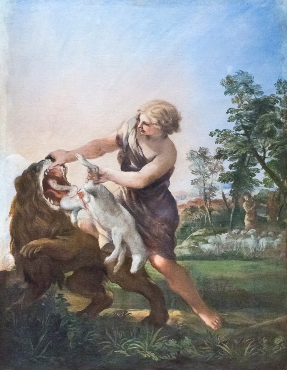 David Killing the Lion (olej na plátně) od Pietro da (1596 1669) Cortona
