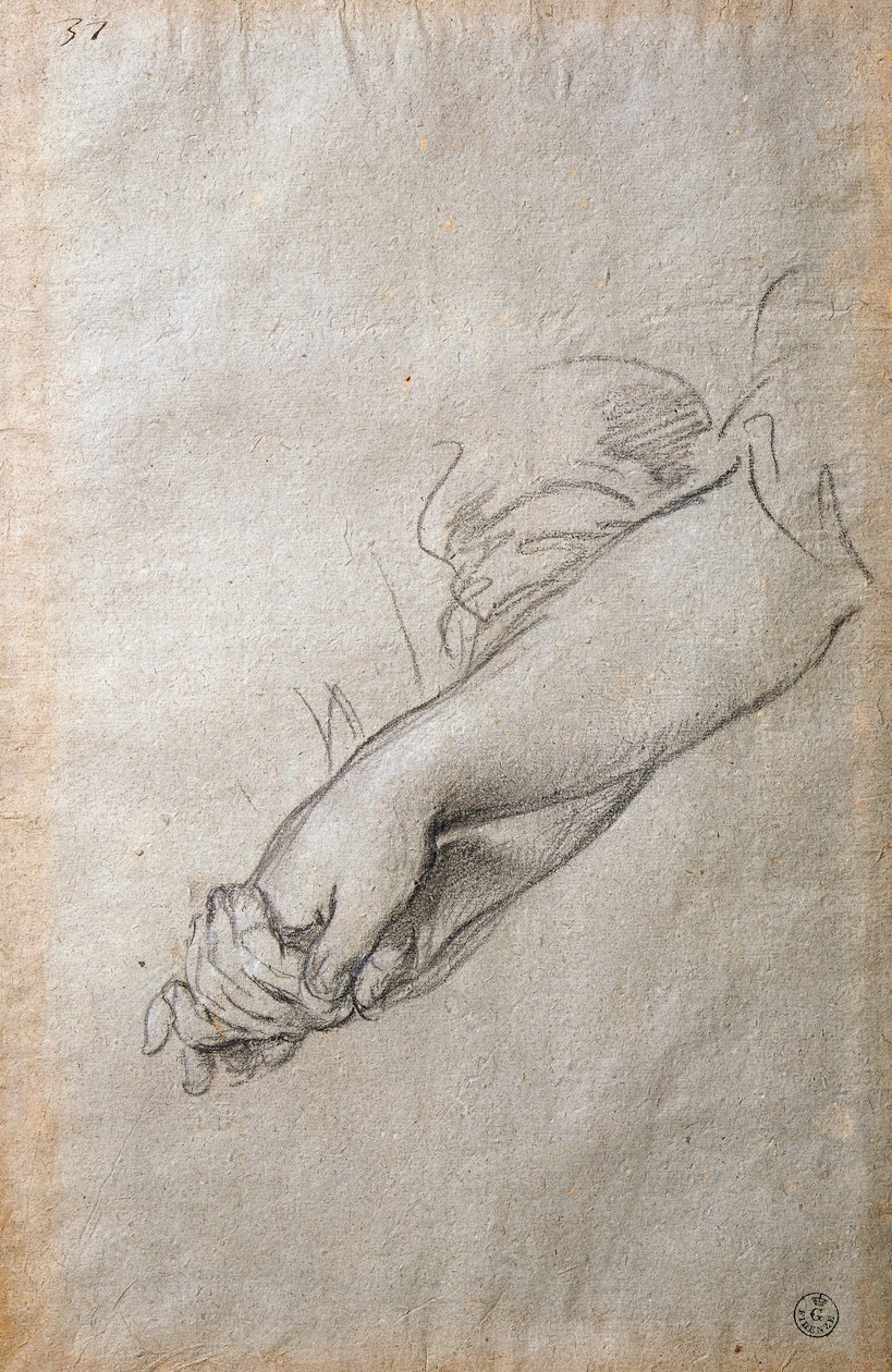 Ruce a paže, studie pro fresku The Golden Acortonage od Pietro da Cortona