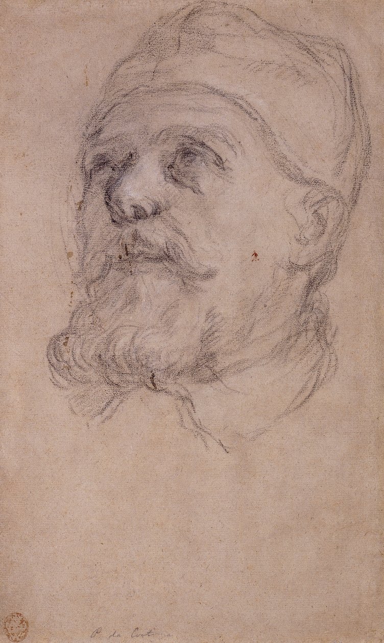 Hlava papeže Urbana VIII od Pietro da Cortona