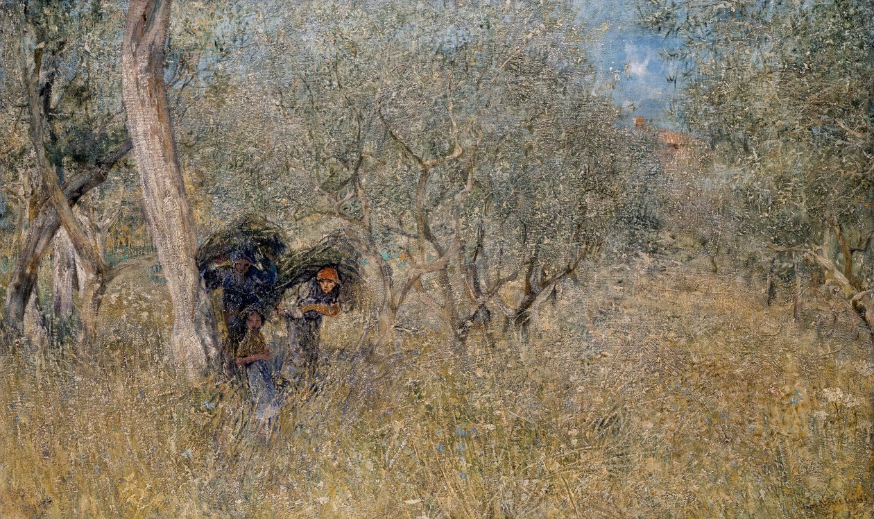 Mezi olivovníky, fascinuje, Plinio Nomellini (1866-1943), olej na plátně, 60x100 cm od Plinio Nomellini