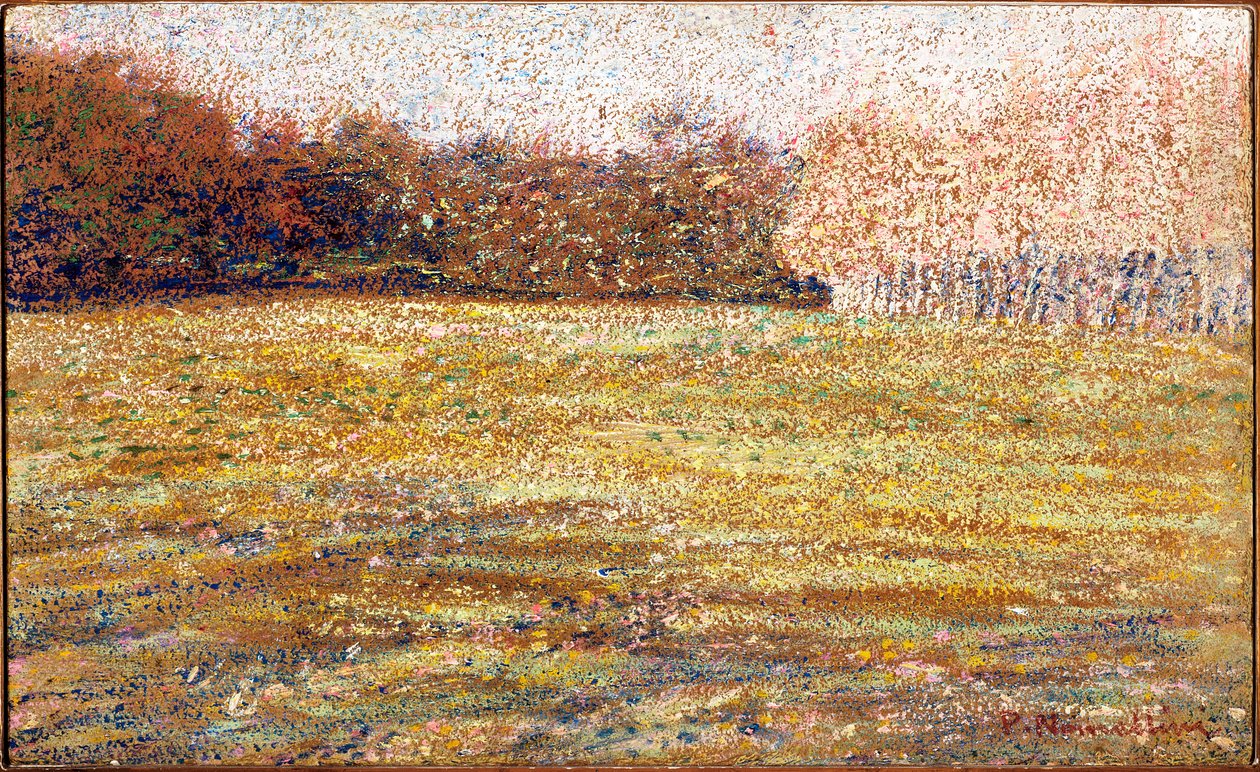V Cascine, Florencie, 1889-90 od Plinio Nomellini