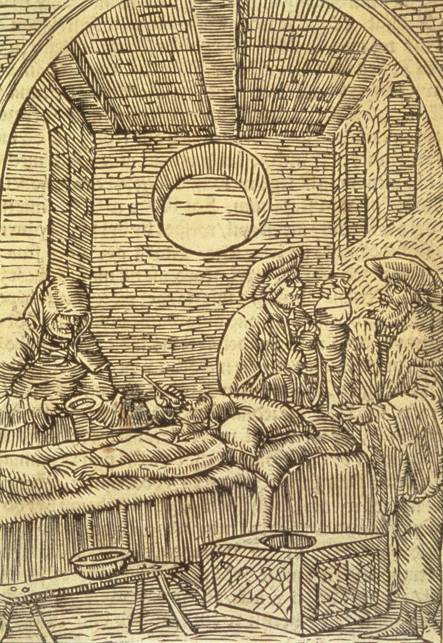 Podávání léčivých bylin, 1534 od Polish School