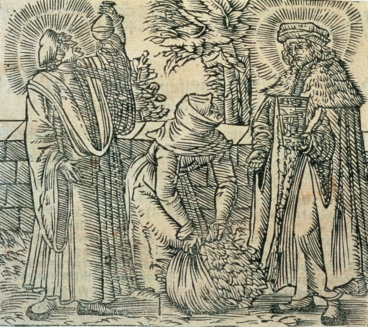 Sbírání bylin pro lékařství, 1534 od Polish School