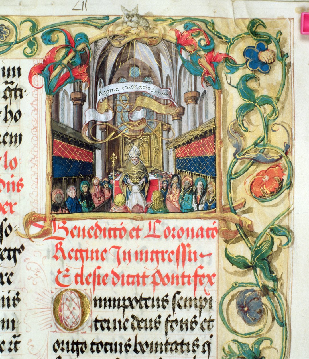 Korunovace polské královny od pontifikálu biskupa Erasma Ciolka, kolem 1510 (tempera a zlato na pergamenu) od Polish School