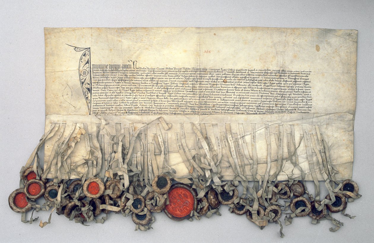Privilegium Wladislawa Jagellonského (asi 1351-1434) polského krále, udělené královskou radou (pergamen) od Polish School