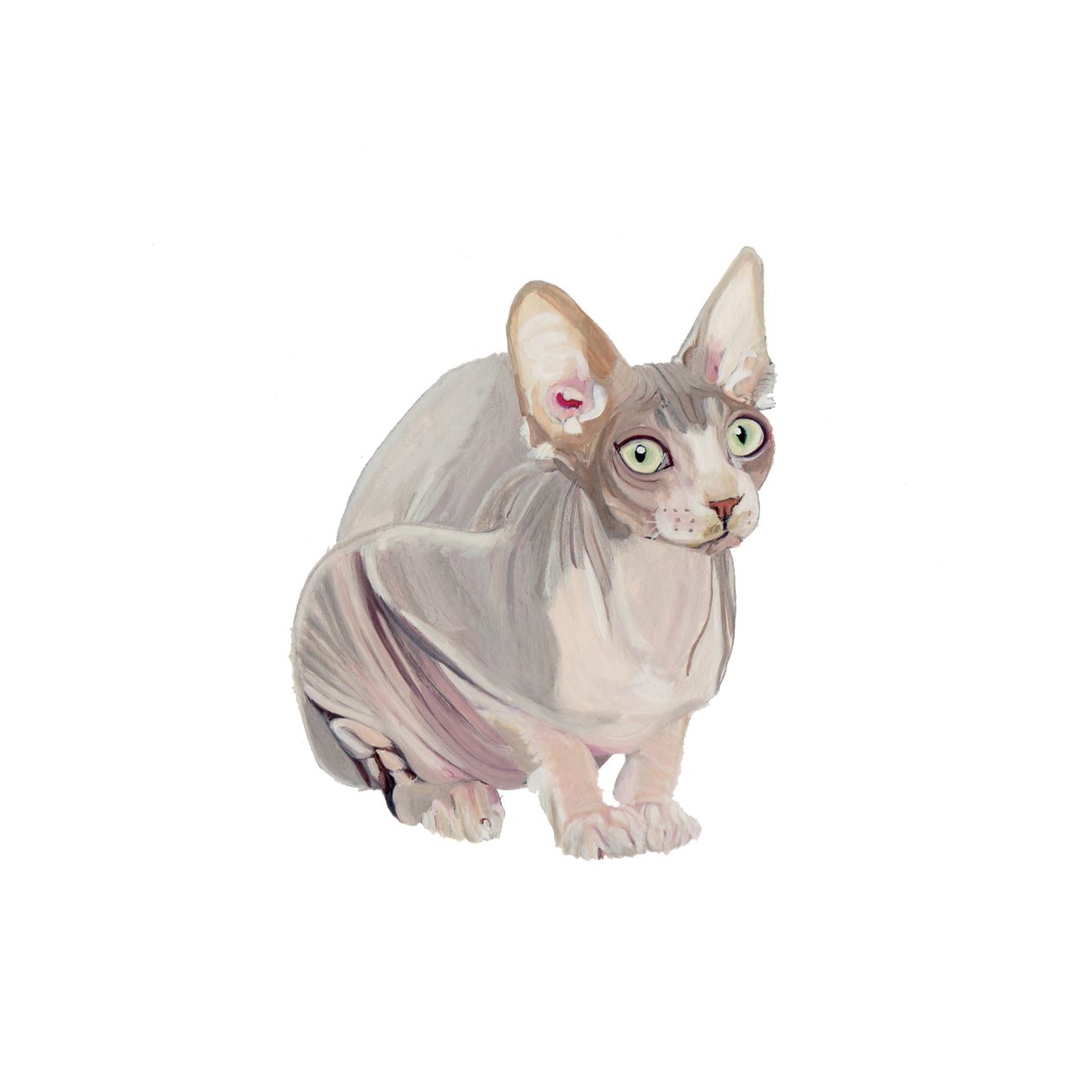 Sphynx, 2014 (akvarel a kvaš na papíře) od Polly Horner