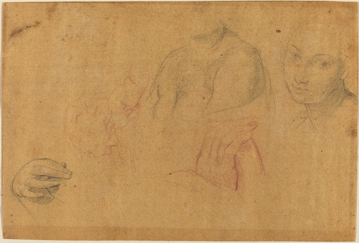 Náčrtky hlav a rukou od Pompeo Batoni